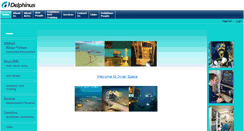 Desktop Screenshot of delphinusvn.com